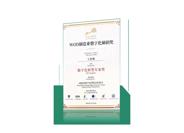 WOD 数字化转型专家奖