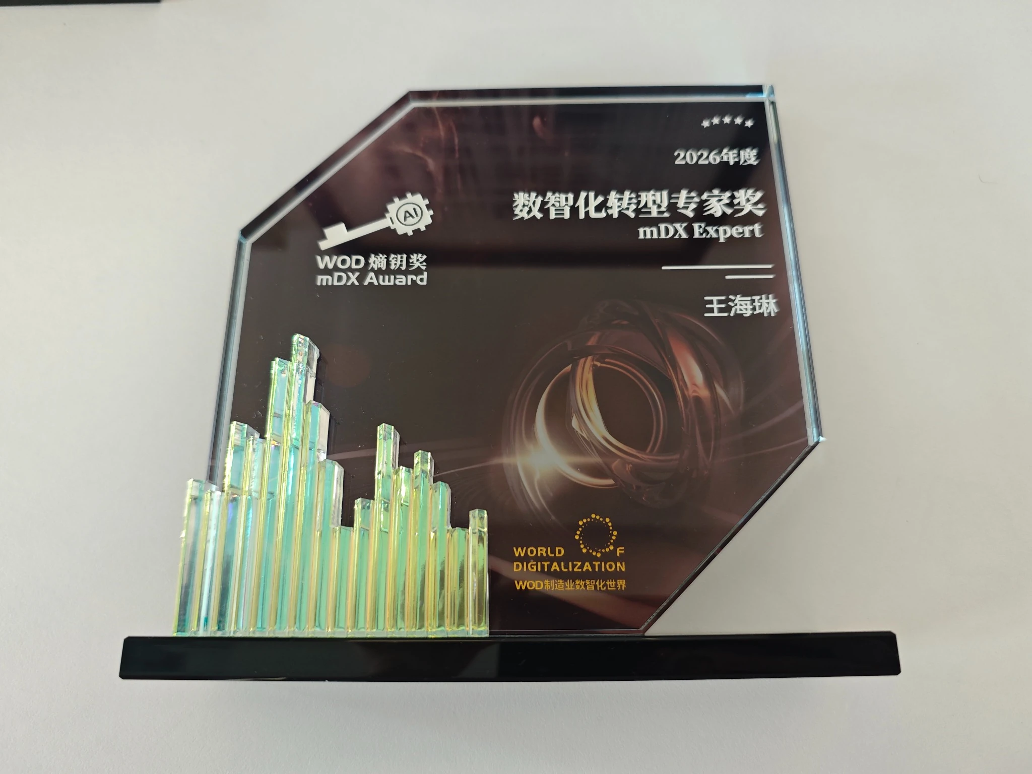 WOD 2026 数智化转型专家奖